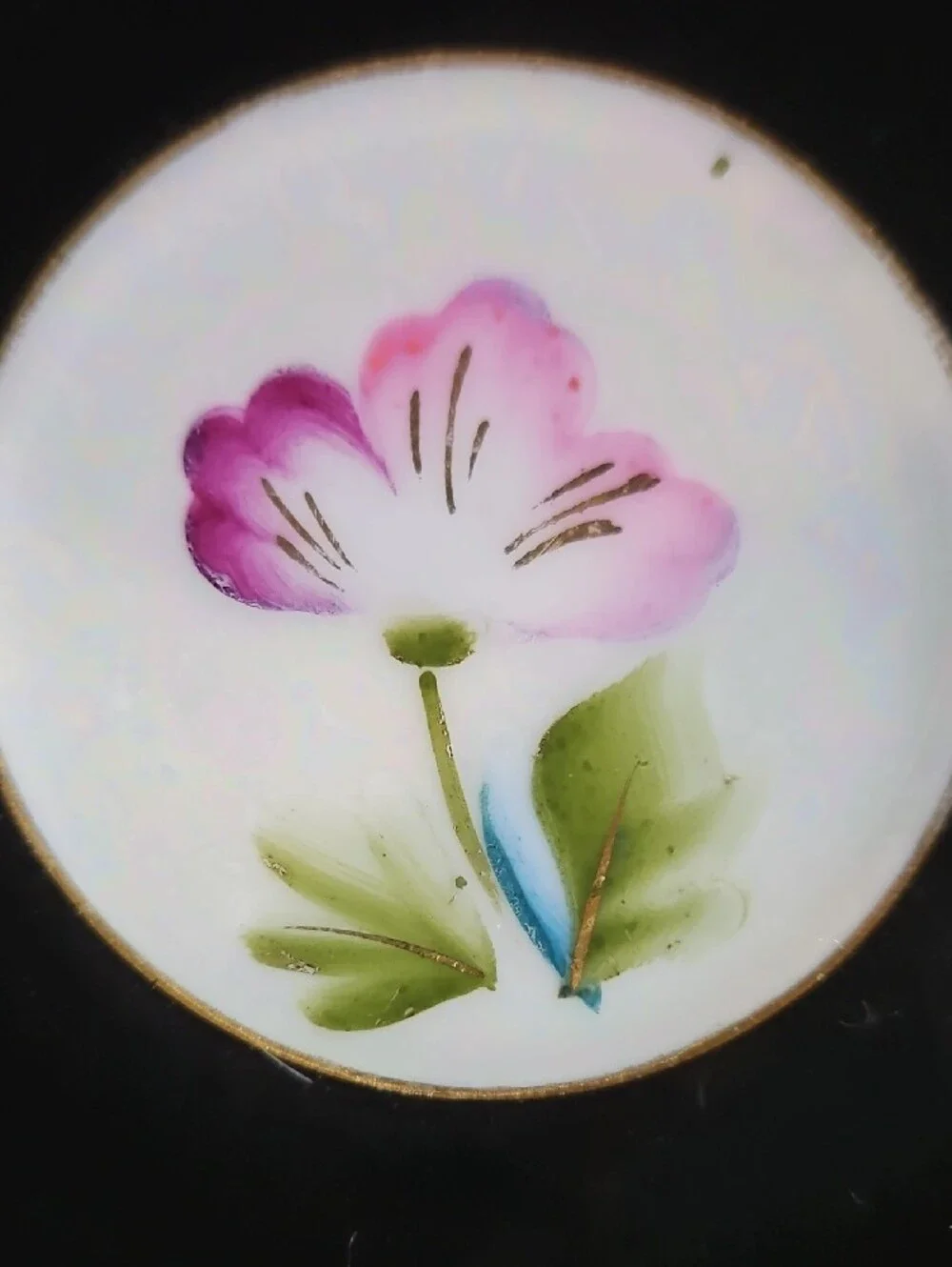 Porcelain Black Colorful Water Lily and Orchid Lustreware Teacup and Saucer